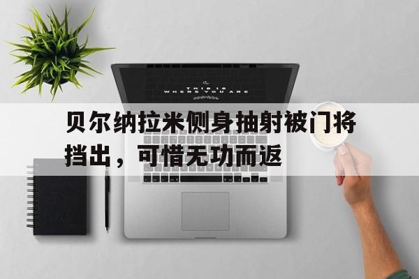 贝尔纳拉米侧身抽射被门将挡出，可惜无功而返的简单介绍
