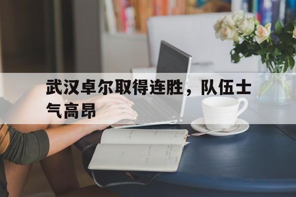 武汉卓尔取得连胜，队伍士气高昂的简单介绍